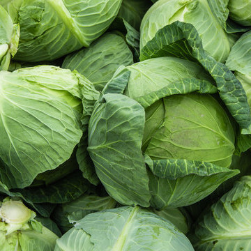 Cabbage