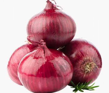 Onion 