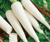  Radish (Mooli)