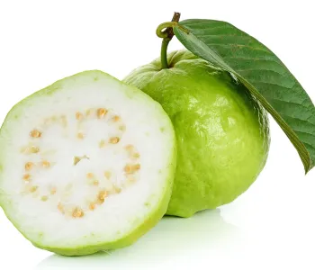 Guava