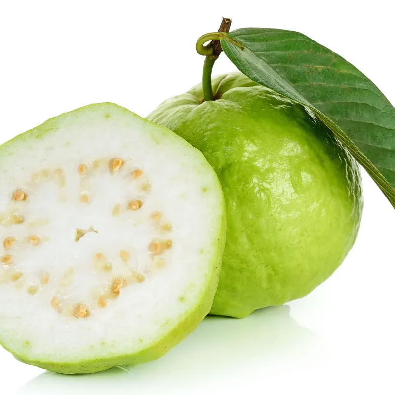 Guava