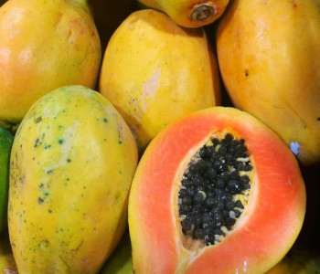 Papaya