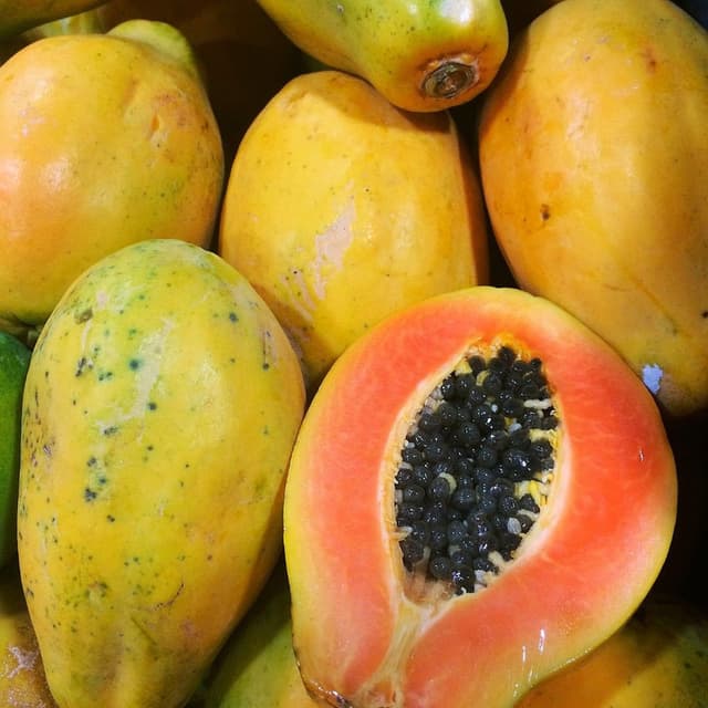 Papaya