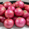 Onion 