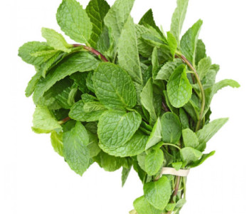 Mint Leaf (Pudina)