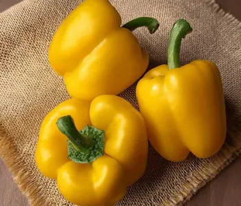 Yellow Capsicum