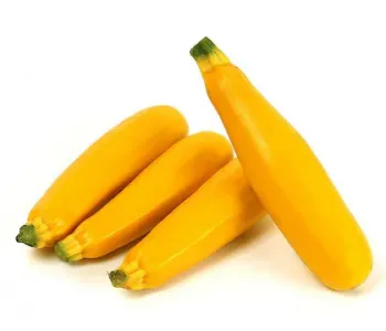 Zucchini Yellow